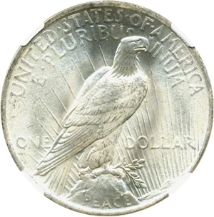 image for: Top 50 VAM: 1923 $1 NGC MS65 (VAM 1B Extra Hair)