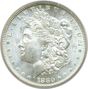 image for: Hot 50 VAM: 1880 $1 VAM 11 Checkmark PCGS MS64