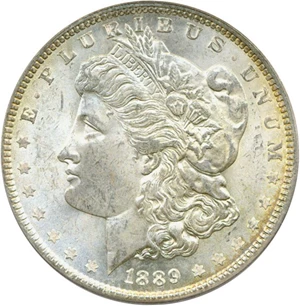 image for: Hot 50 VAM: 1889 $1 VAM 18 Doubled Ear PCGS MS63