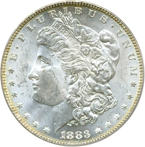 image for: Top 100 VAM: 1883 $1 VAM 10 Sextupled Stars PCGS MS63