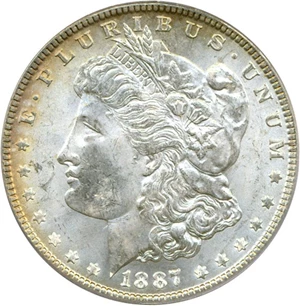 image for: Top 100 VAM: 1887 $1 PCGS MS64 (VAM 12 Alligator Eye)
