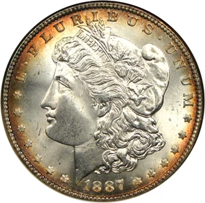 image for: Top 100 VAM: 1887 $1 NGC/CAC MS65 (VAM 12, Alligator Eye)