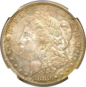 image for: Hot 50 VAM: 1880/9-S $1 NGC MS64 (VAM-11 Medium S)