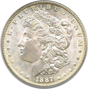image for: Top 100 VAM: 1887 $1 PCGS MS62 (VAM 12 Alligator Eye)