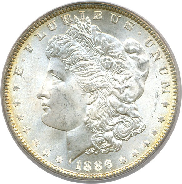 image for: Top 100 VAM: 1886 $1 PCGS MS64 (VAM 1A  Line in 6)