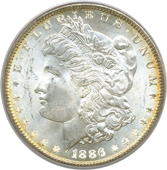 image for: Top 100 VAM: 1886 $1 PCGS MS64 (VAM 1A  Line in 6)