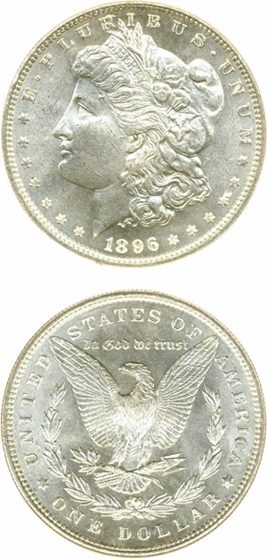 image for: Hot 50 VAM: 1896 $1 DGS MS64 (VAM 20 Bar 6)
