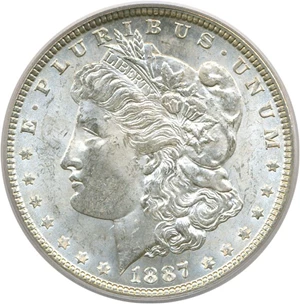 image for: Top 100 VAM: 1887 $1 PCGS MS63 (VAM 12 Alligator Eye)