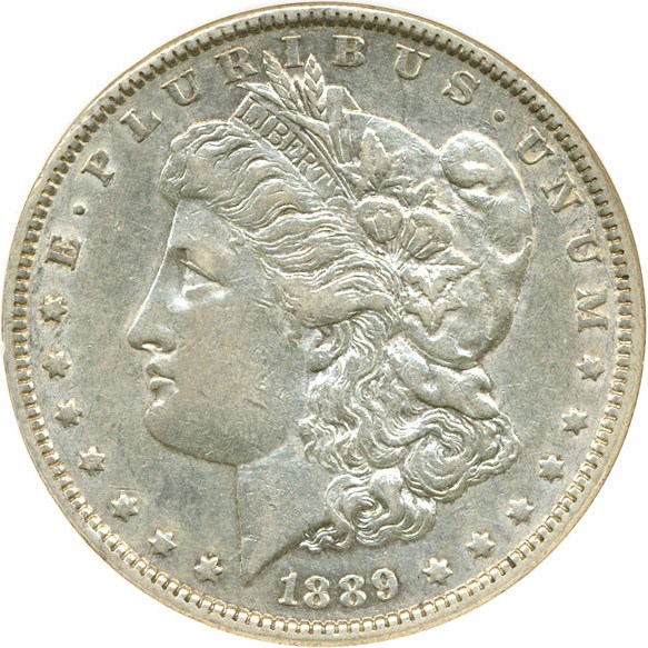 image for: Top 100 VAM: 1889 $1 DGS AU50  (VAM-22  Bar Wing, Lightly Cleaned)