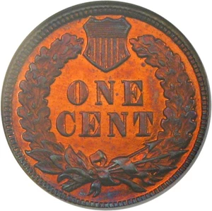 image for: 1895 1c NGC Proof 64 RB