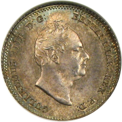 coin-icon-tr