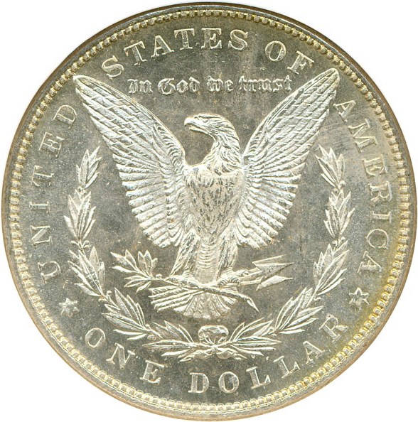 image for: 1884 $1  NGC MS63 PL