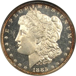 image for: 1885-O $1 NGC MS64 DMPL