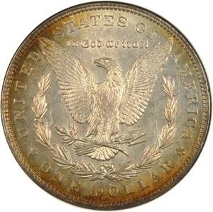 image for: 1898 $1 ANACS MS63 PL
