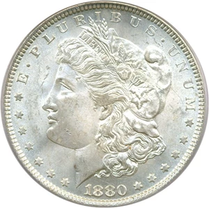 image for: Hot 50 VAM: 1880 $1 PCGS MS64 (VAM-39A Partial E Rev)