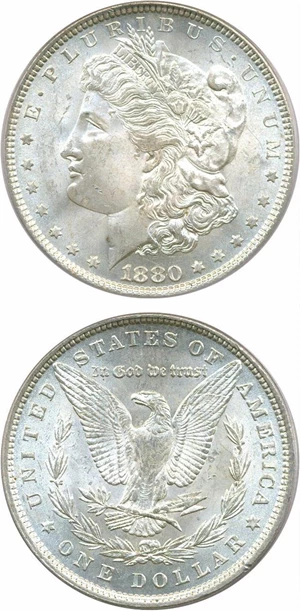 image for: Hot 50 VAM: 1880 $1 PCGS MS64 (VAM-39A Partial E Rev)