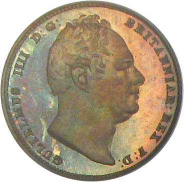 1831 6D Plain Edge PR