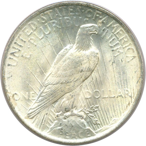 image for: 1923 $1 PCGS MS65  (VAM-1V  Extra Hair)