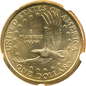 image for: 2008-P Sacagawea $1 DGS MS65