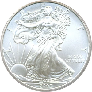 image for: 2009 Silver Eagle $1 PCGS MS69 (First Strike)