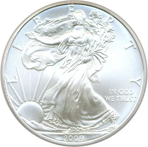 image for: 2009 Silver Eagle $1 PCGS MS69 (First Strike)