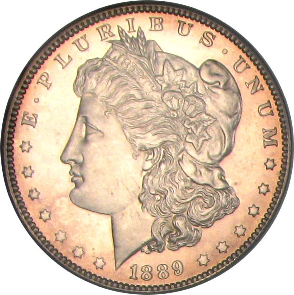 image for: 1889 $1 NGC Proof 63