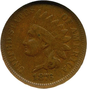 image for: 1876 1c NGC VF20 BN