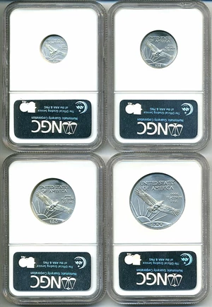 image for: 2007 Platinum Eagle Set NGC MS69 (4 coins: $10, $25, $50, $100) (Early Releases)