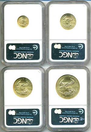 image for: 2007 Gold Eagle Set NGC MS69 (4 coins: $5, $10, $25, $50)
