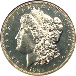 image for: 1901 $1 NGC Proof 64