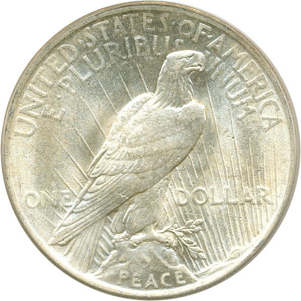 image for: Top 50 VAM: 1923 $1 PCGS MS64 (VAM 1F, Chin Bar)