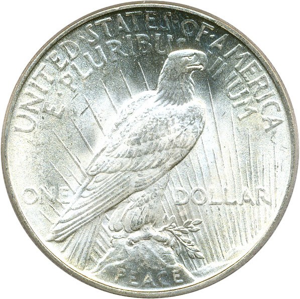 image for: Top 50 VAM: 1922 $1 PCGS MS63 (VAM 1A, Line in Tiara)