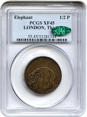image for: Elephant 1/2 P PCGS/CAC XF45 (LONDON, Thick Planchet)