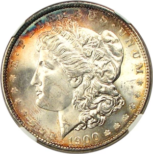 image for: 1900 $1 NGC/CAC MS67