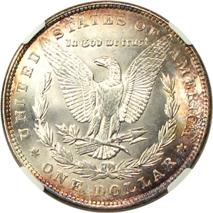 image for: 1900 $1 NGC/CAC MS67
