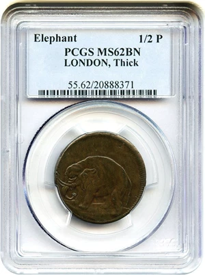 image for: (c.1694) Elephant 1/2 P PCGS MS62 BN (LONDON, Thick Planchet)