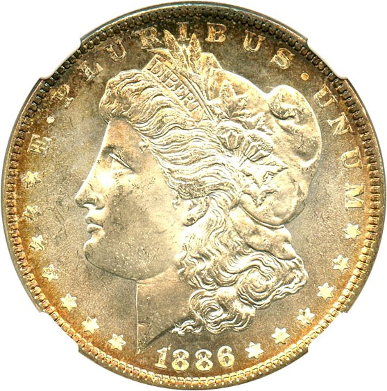 image for: 1886 $1 NGC MS65 PL