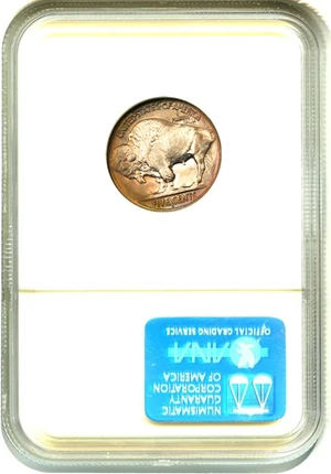 image for: 1920-D 5c NGC MS66 - Grade Rarity Buffalo