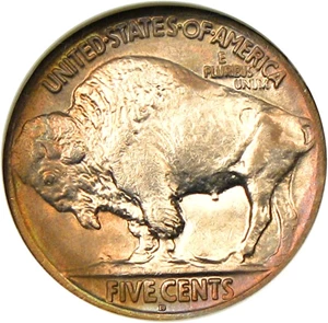 image for: 1920-D 5c NGC MS66 - Grade Rarity Buffalo