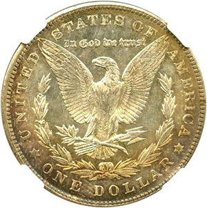 image for: 1900 $1 NGC MS64 (VAM 16, MPD & DDR, Olives) Hot 50 VAM - Pretty Toning