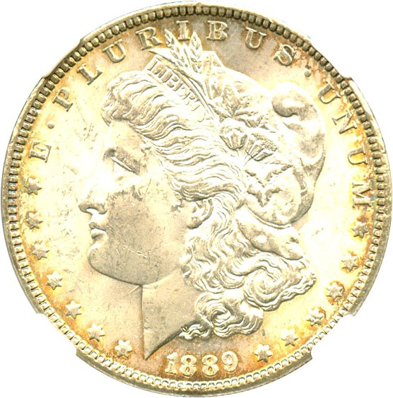 image for: 1889 $1 NGC MS63 (VAM-16, Doubled Die Obverse, Ear) Hot 50 VAM