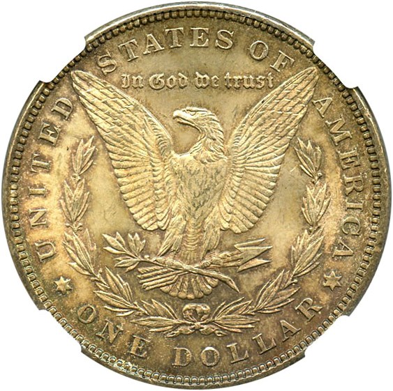 image for: 1885 $1 NGC MS64 (VAM 1A, Pitted Reverse) Hot 50 VAM