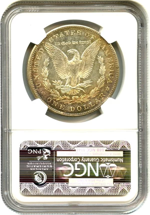 image for: 1900 $1 NGC MS64 (VAM 16, MPD & DDR, Olives) Hot 50 VAM - Pretty Toning