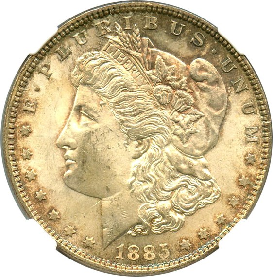 image for: 1885 $1 NGC MS64 (VAM 1A, Pitted Reverse) Hot 50 VAM