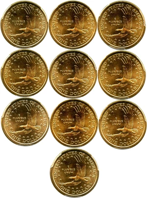 image for: Lot of 2008-P Sac $1: All PCGS MS67 (10 Coins) - No Reserve!