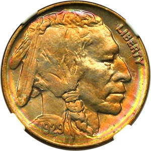 image for: 1929-D 5c NGC MS66 - No Reserve!