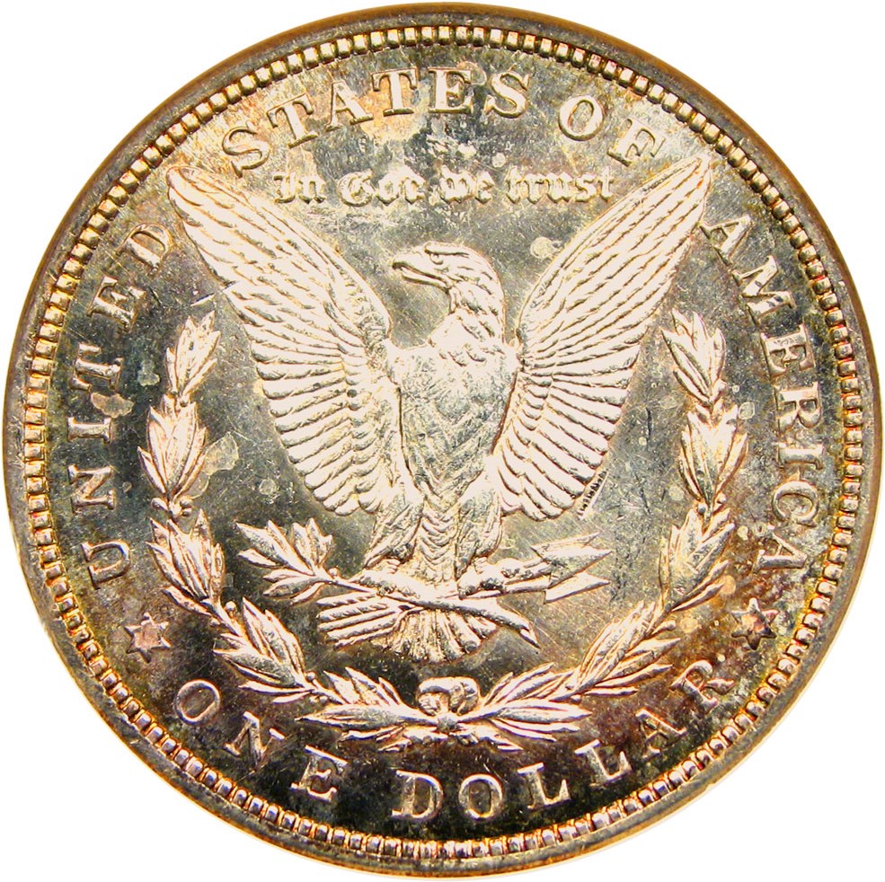 image for: 1921 Morgan $1 NGC MS63 DMPL