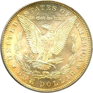 image for: 1885 $1 PCGS/CAC MS66+ (VAM-1A, Pitted Reverse)