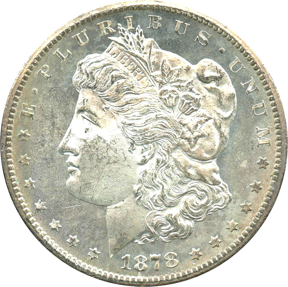 image for: 1878-CC $1 NGC/GSA MS64 (Top 100 VAM, VAM-11)