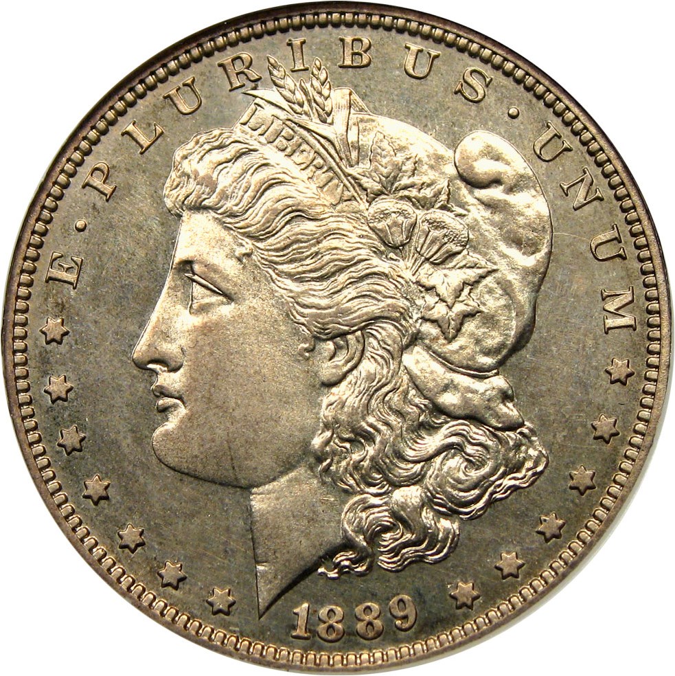 image for: 1889 $1 NGC Proof 64